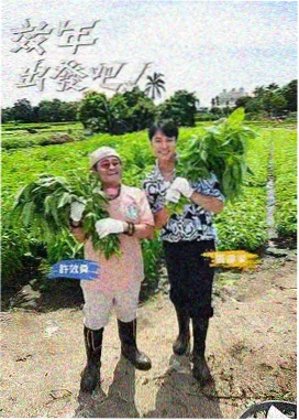 上下身比裤装长度对照样本图